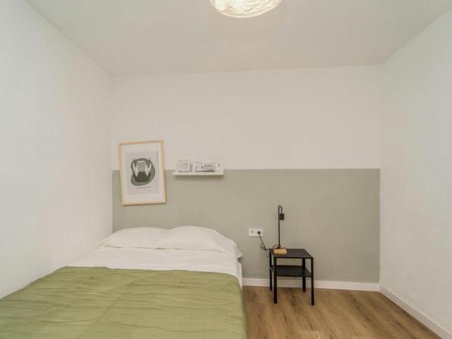 Alquiler 1 Dormitorio Shared Living/Roommate Valladolid Valladolid DLS102661872