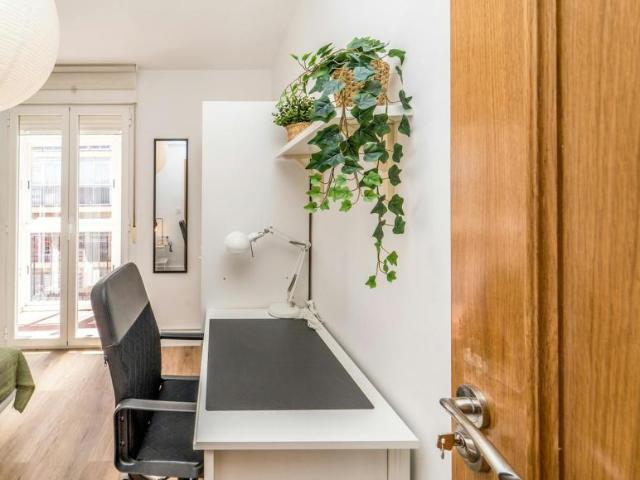 Alquiler 1 Dormitorio Shared Living/Roommate Valladolid Valladolid DS100716690