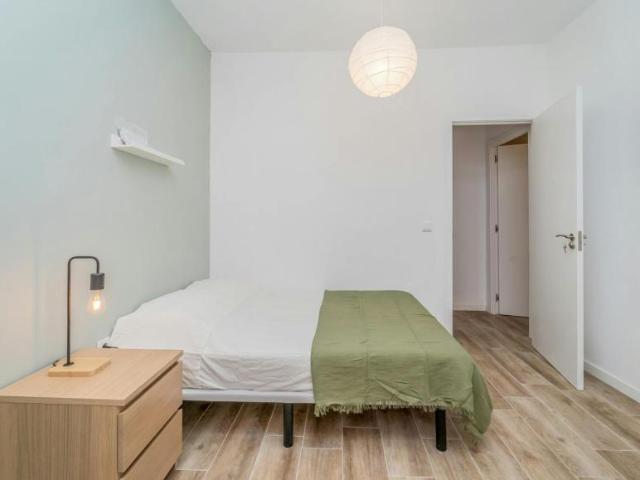 Alquiler 1 Dormitorio Shared Living/Roommate Valladolid Valladolid DS100718813