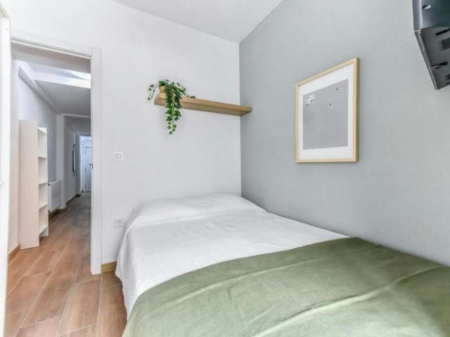 Alquiler 1 Dormitorio Shared Living/Roommate Valladolid Valladolid DS100721244