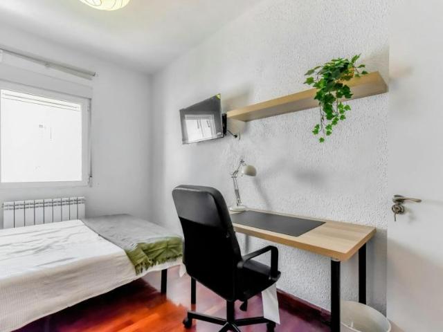 Alquiler 1 Dormitorio Shared Living/Roommate Valladolid Valladolid DS100721500