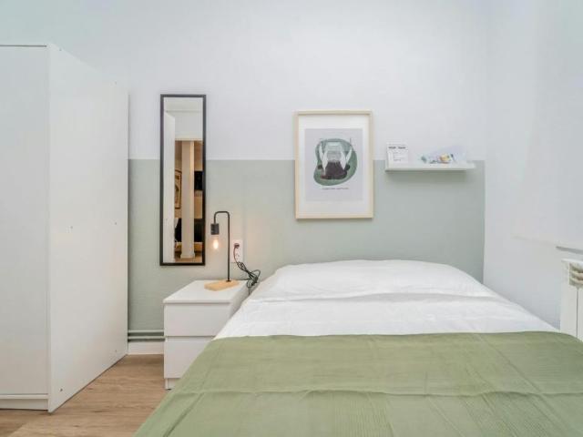 Alquiler 1 Dormitorio Shared Living/Roommate Valladolid Valladolid DS101842529