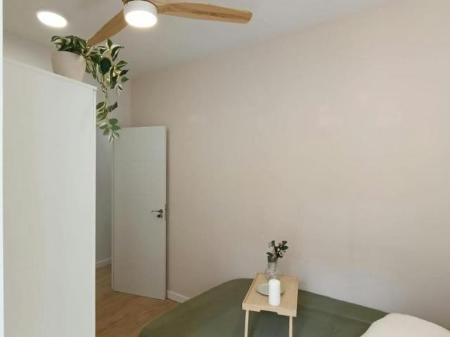 Alquiler 1 Dormitorio Shared Living/Roommate Valladolid Valladolid DS102716856