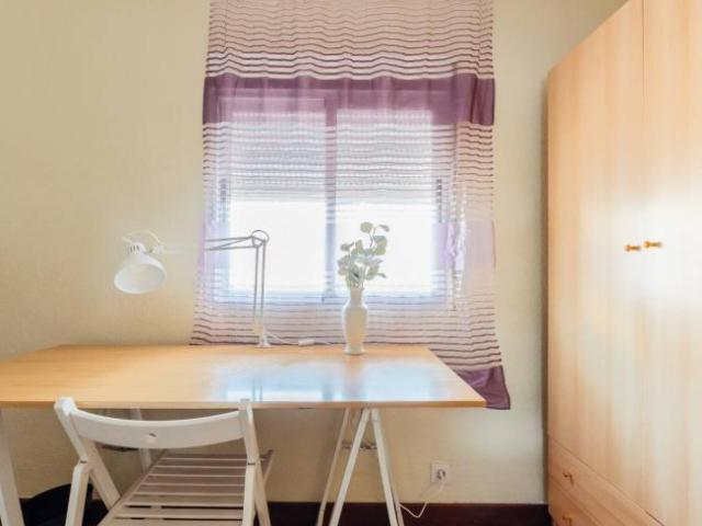 Alquiler 1 Dormitorio Shared Living/Roommate Valladolid Valladolid DS102719854