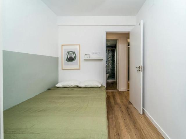 Alquiler 1 Dormitorio Shared Living/Roommate Valladolid Valladolid DS102850758