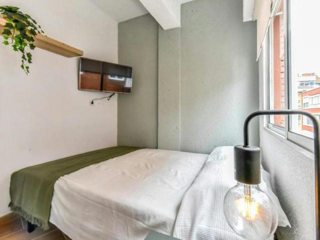 Alquiler 1 Dormitorio Shared Living/Roommate Valladolid Valladolid DS102853464