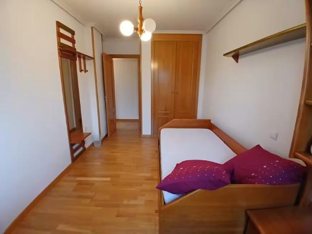 Alquiler 1 Dormitorio Shared Living/Roommate Valladolid Valladolid DS98193252