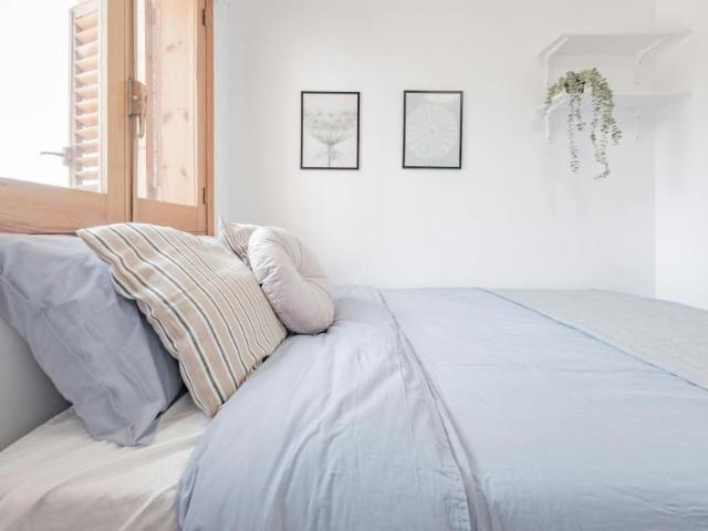 Alquiler 1 Dormitorio Shared Living/Roommate Xirivella Xirivella DS101840779