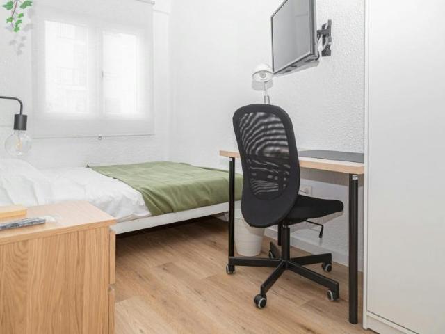 Alquiler 1 Dormitorio Shared Living/Roommate Zaragoza Zaragoza DLS100719341