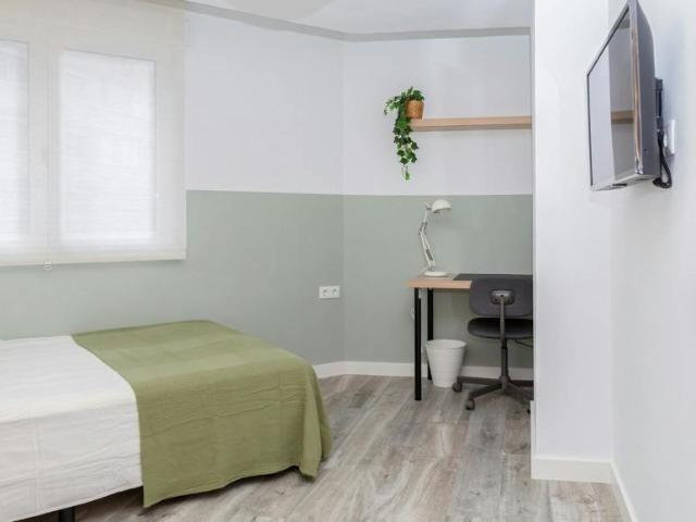 Alquiler 1 Dormitorio Shared Living/Roommate Zaragoza Zaragoza DLS100719421