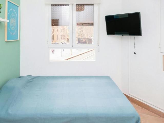 Alquiler 1 Dormitorio Shared Living/Roommate Zaragoza Zaragoza DLS100723129