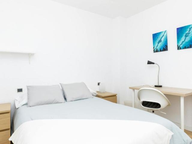 Alquiler 1 Dormitorio Shared Living/Roommate Zaragoza Zaragoza DLS100724327