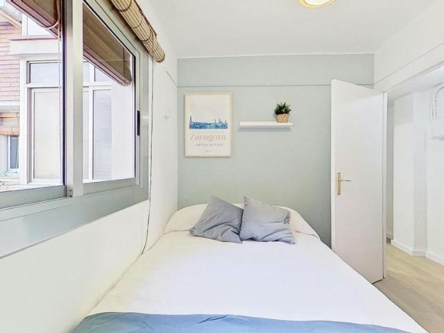 Alquiler 1 Dormitorio Shared Living/Roommate Zaragoza Zaragoza DLS100724446