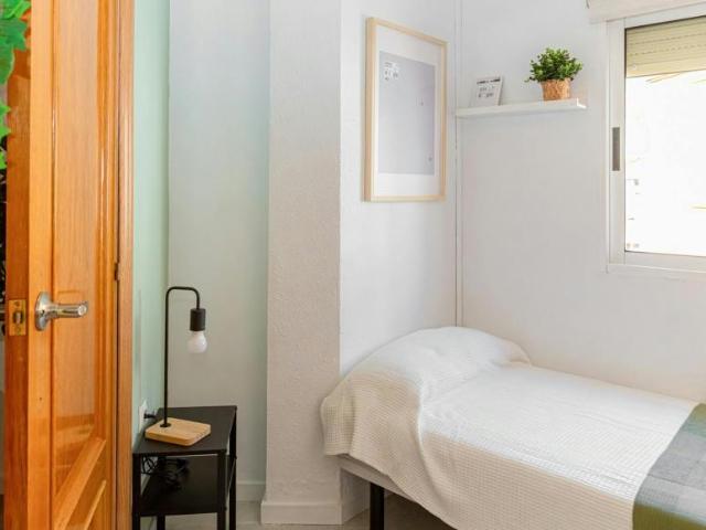 Alquiler 1 Dormitorio Shared Living/Roommate Zaragoza Zaragoza DLS101843811