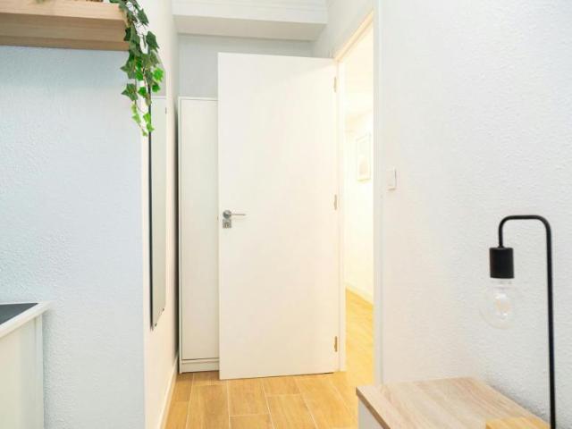 Alquiler 1 Dormitorio Shared Living/Roommate Zaragoza Zaragoza DLS101846890