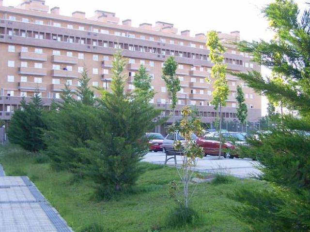 Alquiler 1 Dormitorio Shared Living/Roommate Zaragoza Zaragoza DLS101818420