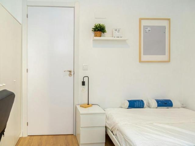 Alquiler 1 Dormitorio Shared Living/Roommate Zaragoza Zaragoza DLS102851842