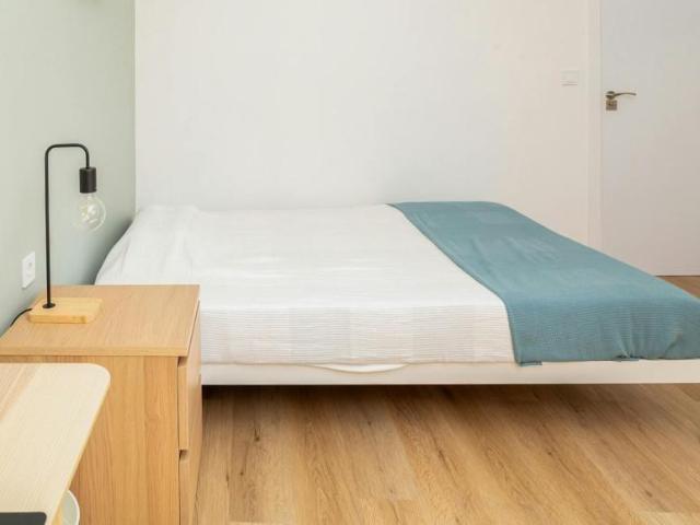 Alquiler 1 Dormitorio Shared Living/Roommate Zaragoza Zaragoza DLS102853859