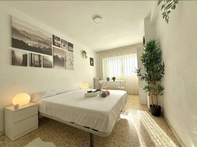 Alquiler 1 Dormitorio Shared Living/Roommate Zaragoza Zaragoza DLS85579260