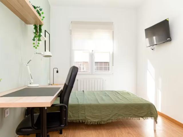 Alquiler 1 Dormitorio Shared Living/Roommate Zaragoza Zaragoza DLS95918783