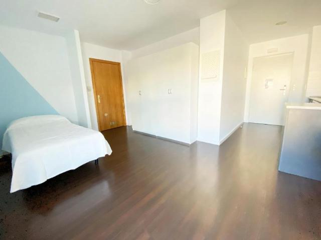 Alquiler 1 Dormitorio Shared Living/Roommate Zaragoza Zaragoza DS104639655