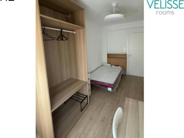 Alquiler 1 Dormitorio Shared Living/Roommate Zaragoza Zaragoza DS104842678