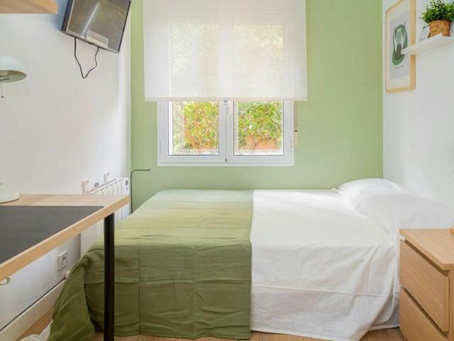 Alquiler 1 Dormitorio Shared Living/Roommate Zaragoza Zaragoza DS105186892