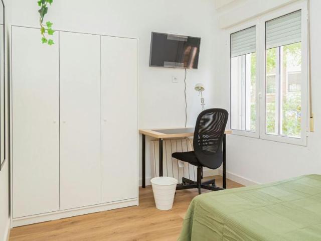 Alquiler 1 Dormitorio Shared Living/Roommate Zaragoza Zaragoza DS100719782