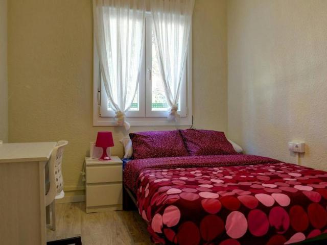 Alquiler 1 Dormitorio Shared Living/Roommate Zaragoza Zaragoza DS100724305