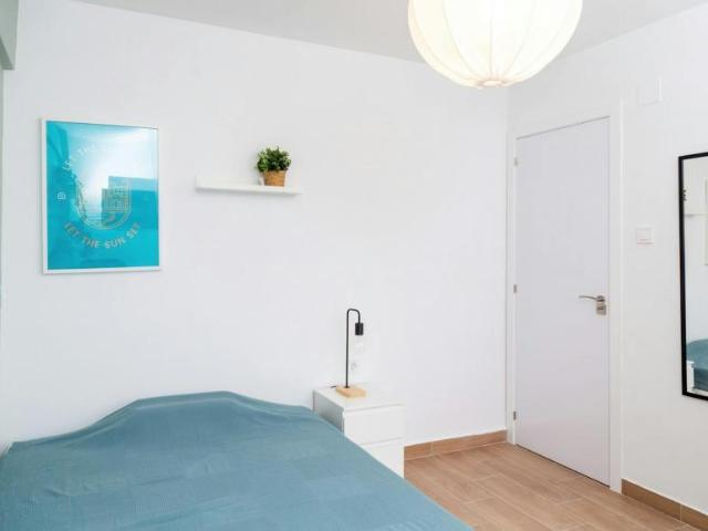 Alquiler 1 Dormitorio Shared Living/Roommate Zaragoza Zaragoza DS100722983