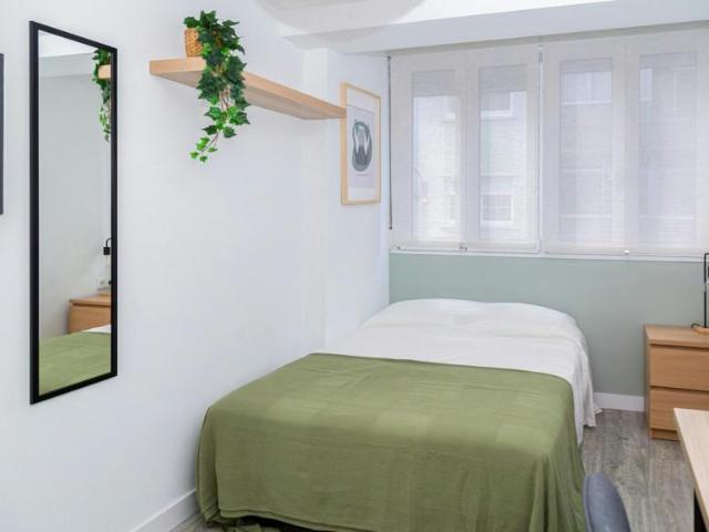 Alquiler 1 Dormitorio Shared Living/Roommate Zaragoza Zaragoza DS101843277