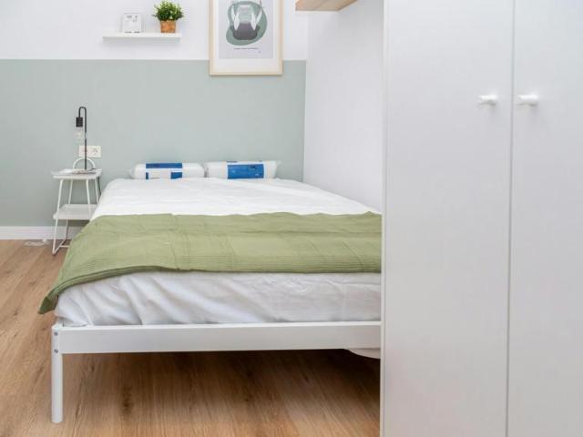 Alquiler 1 Dormitorio Shared Living/Roommate Zaragoza Zaragoza DS102851648
