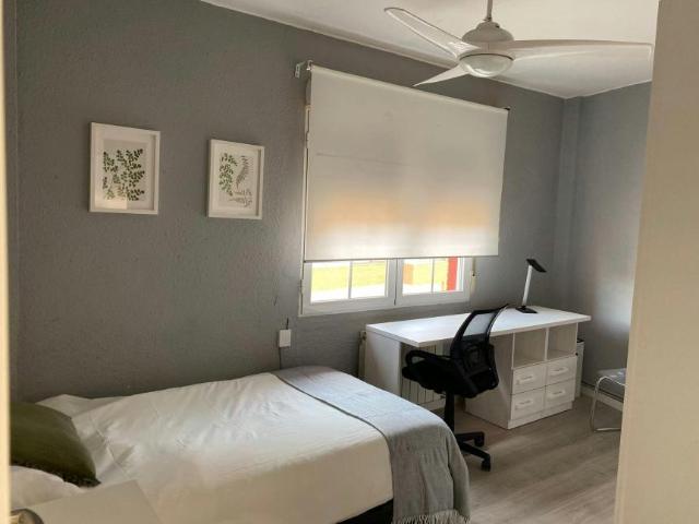 Alquiler 1 Dormitorio Shared Living/Roommate Zaragoza Zaragoza DS99882832