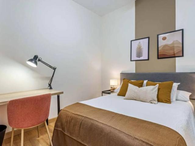 Alquiler 20 Dormitorio Shared Living/Roommate Malaga Malaga DS103802767