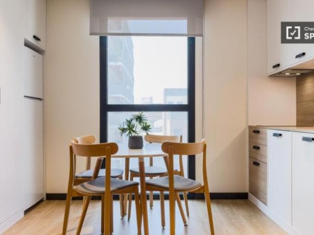Alquiler 265 Dormitorio Apartamentos Barcelona Barcelona DLS102887302