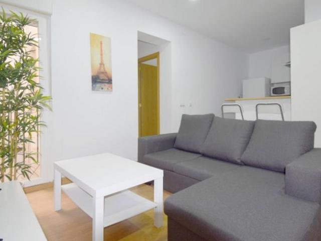 Alquiler 2 Dormitorio Apartamentos Madrid Madrid DS89859831