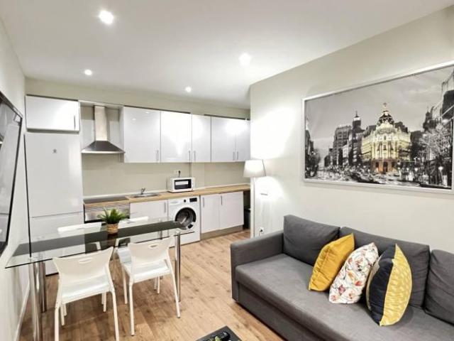 Alquiler 2 Dormitorio Apartamentos Madrid Madrid DS90533483