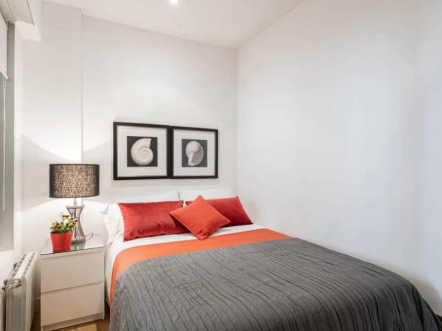 Alquiler 2 Dormitorio Apartamentos Madrid Madrid DS96498464