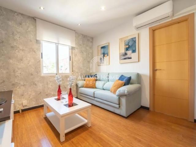 Alquiler 2 Dormitorio Apartamentos Madrid Madrid DS101436118