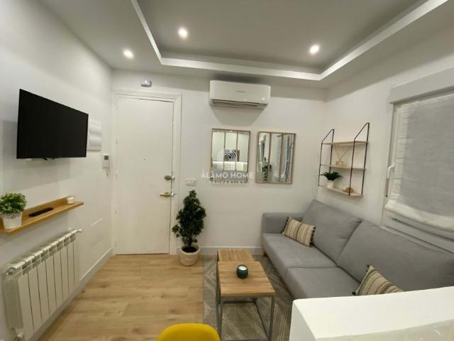 Alquiler 2 Dormitorio Apartamentos Madrid Madrid DS101472680