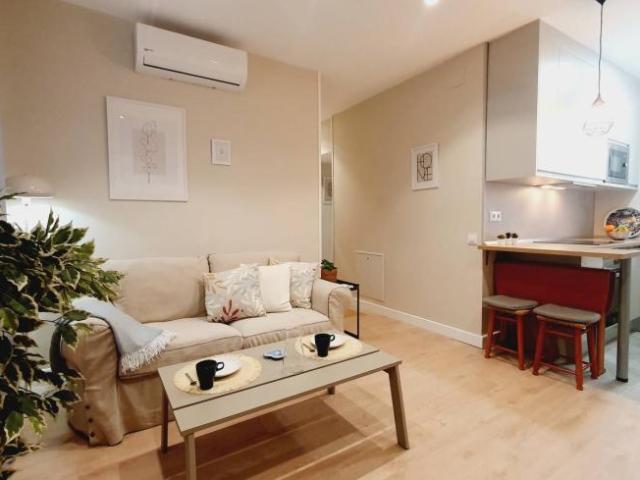Alquiler 2 Dormitorio Apartamentos Madrid Madrid DS101670844