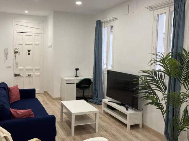 Alquiler 2 Dormitorio Apartamentos Madrid Madrid DS101818633