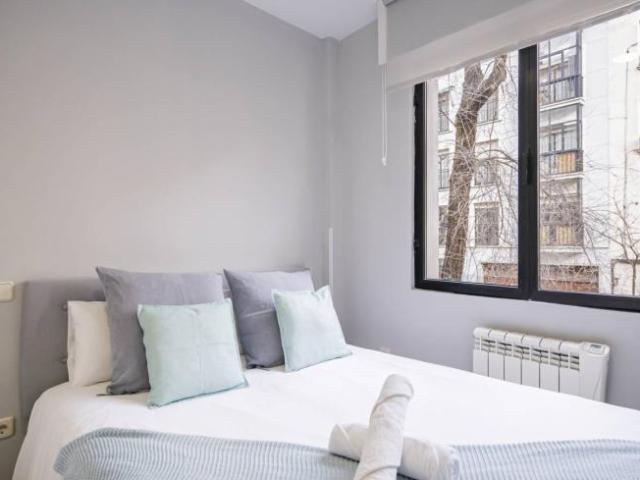 Alquiler 2 Dormitorio Apartamentos Madrid Madrid DS101843098