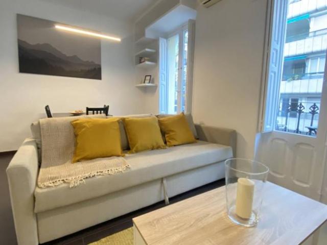 Alquiler 2 Dormitorio Apartamentos Madrid Madrid DS101191199