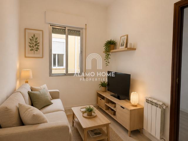 Alquiler 2 Dormitorio Apartamentos Madrid Madrid DS103426481