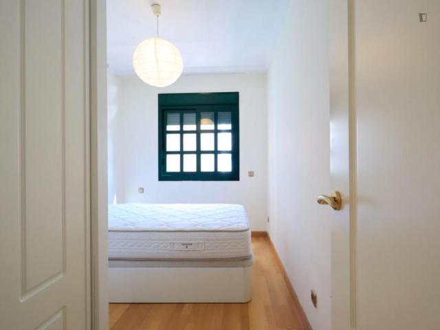 Alquiler 2 Dormitorio Apartamentos Madrid Madrid DS103262834