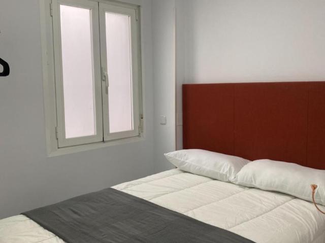 Alquiler 2 Dormitorio Apartamentos Madrid Madrid DS103275721