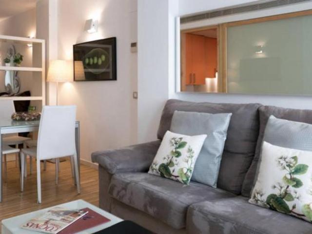 Alquiler 2 Dormitorio Apartamentos Madrid Madrid DS103278056