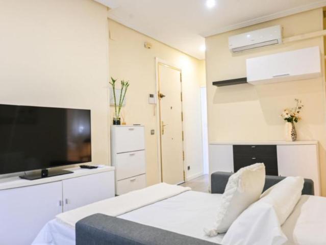 Alquiler 2 Dormitorio Apartamentos Madrid Madrid DS103281056