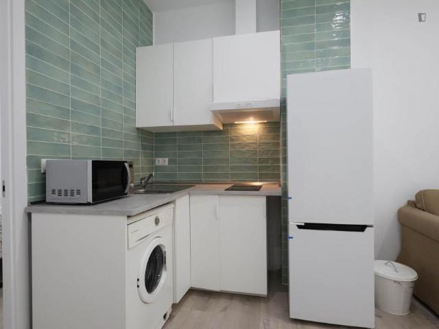 Alquiler 2 Dormitorio Apartamentos Madrid Madrid DS104563773